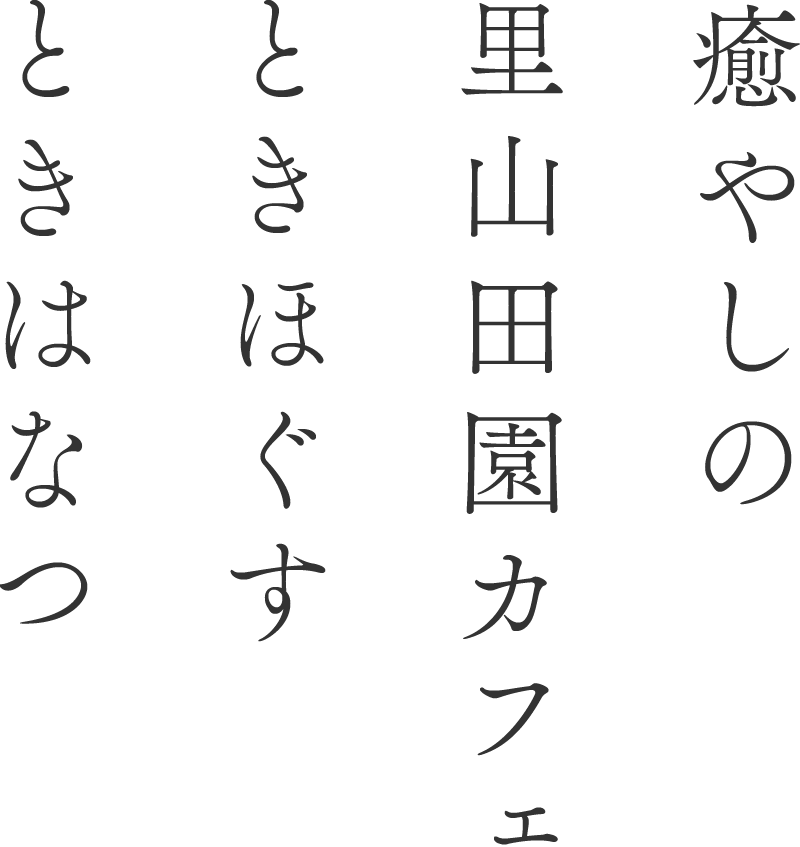 癒やしの里山田園カフェときほぐすときはなつ