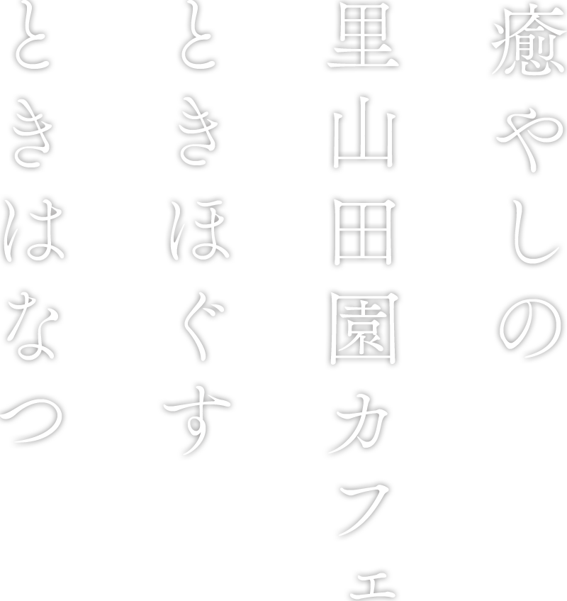 癒やしの里山田園カフェときほぐすときはなつ